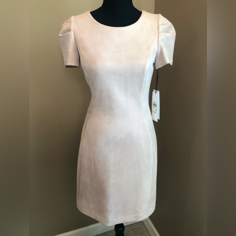 NWT - Calvin Klein Short Sleeve Blush Dress